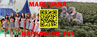 мяу мяу мука Кулебаки